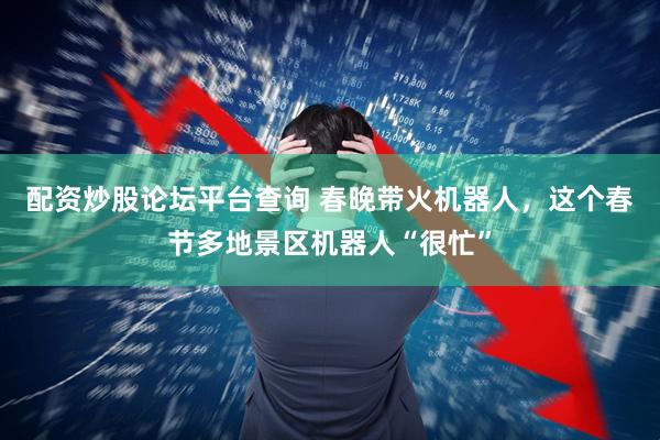 配资炒股论坛平台查询 春晚带火机器人，这个春节多地景区机器人“很忙”